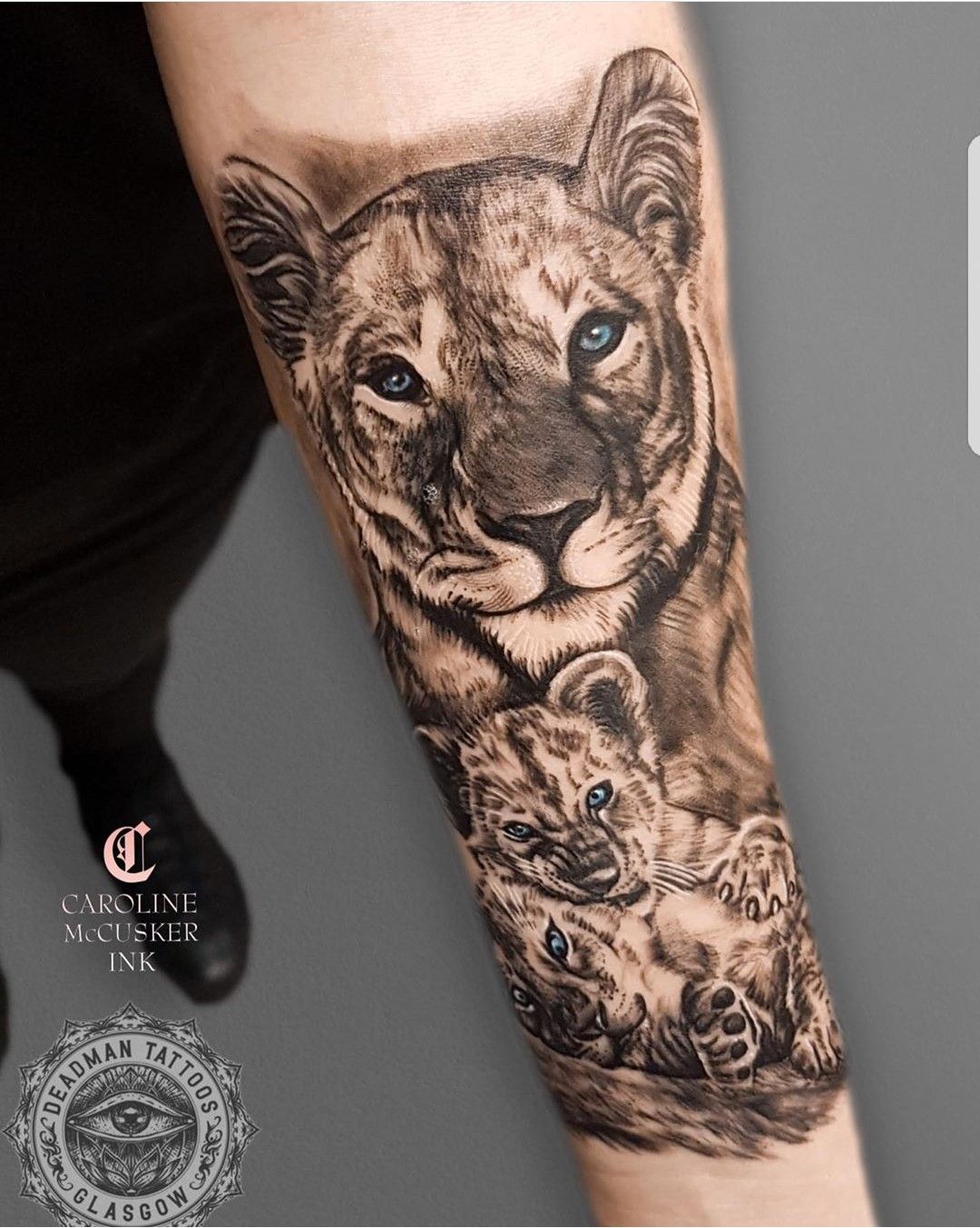 lioness with 3 cub tattoos outlineTikTok Search