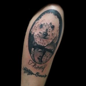 Tatu de hoy.. #tattoo #inked #ink #retrato #perro #caniche #dog #blackandgrey #blackandgreytattoo #perrotattoo #whitedog #dogtattoo #thomy #luchotattoo #luchotattooer #pergamino 