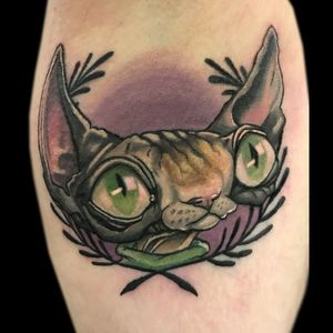 Sphynx Cat tattoo done by Nick Mitchell