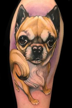 Chihuahua tattoo done by Nick Mitchell