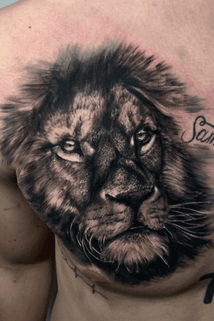 •Lion•Así empezamos este proyectoTodavía quedan algunos cupos disponibles para marzo y la agenda de abril ya está abierta.Envía tus ideas al DM o whatsapp (+34)643034015Si te gusta deja tu like, comenta y comparte♥️...#tattoo #tattoos #lion #animal #wild #blackandgreytattoos #realistictattoos #tattooer #tattooist #tattooartist #tattooideas #tattoodesign #ink #inked #tenerife #españa #spain #madrid #barcelona #venezuela