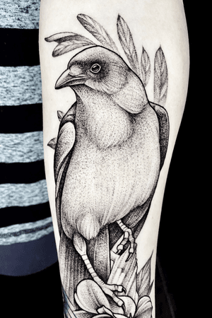 I love tattooing birds! #dotwork #etching #illustrative #linework #fineline #delicate #flower #floral #animal #nature #botanical #surrealism #trashpolka #realistic #blackwork #blackandgray #girlytattoo #idea #design #drawing #sketch http://www.therubygore.com