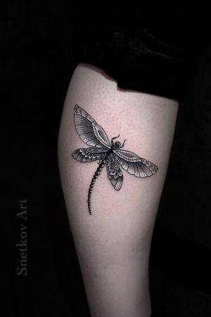 #dragonfly