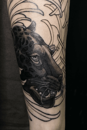 Black panther, part of big cats sleeve in progress