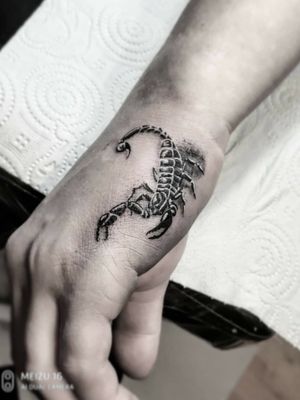Little "Scorpio" which is hiding an old tattoo.◾#тату #скорпион #trigram #tattoo #scorpio #inkedsense 