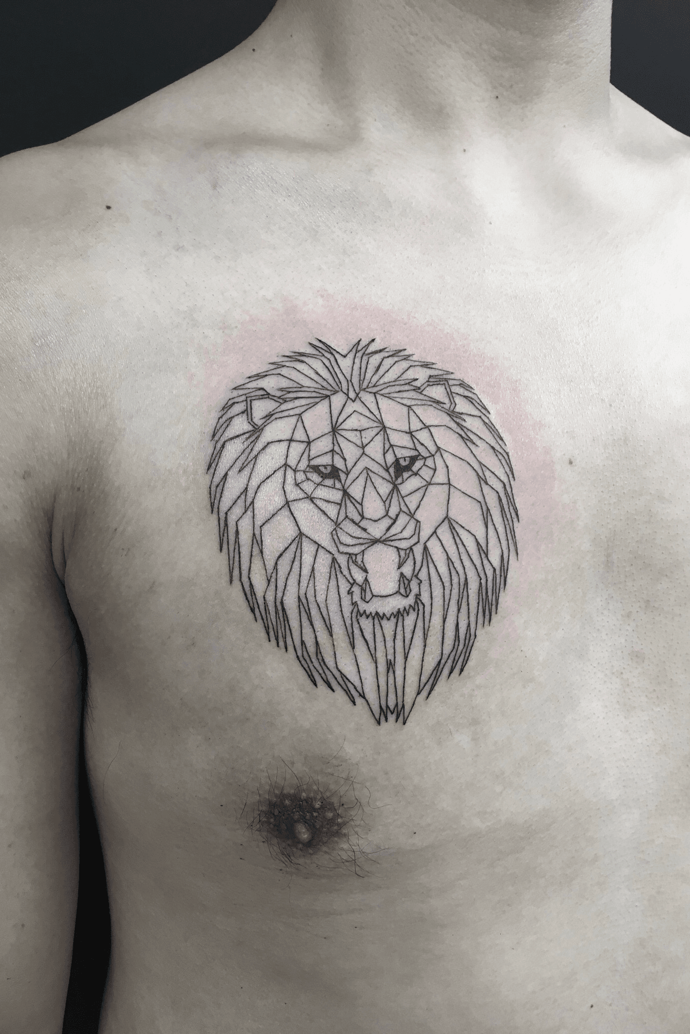 Buy Lion Dotwork Online In India  Etsy India
