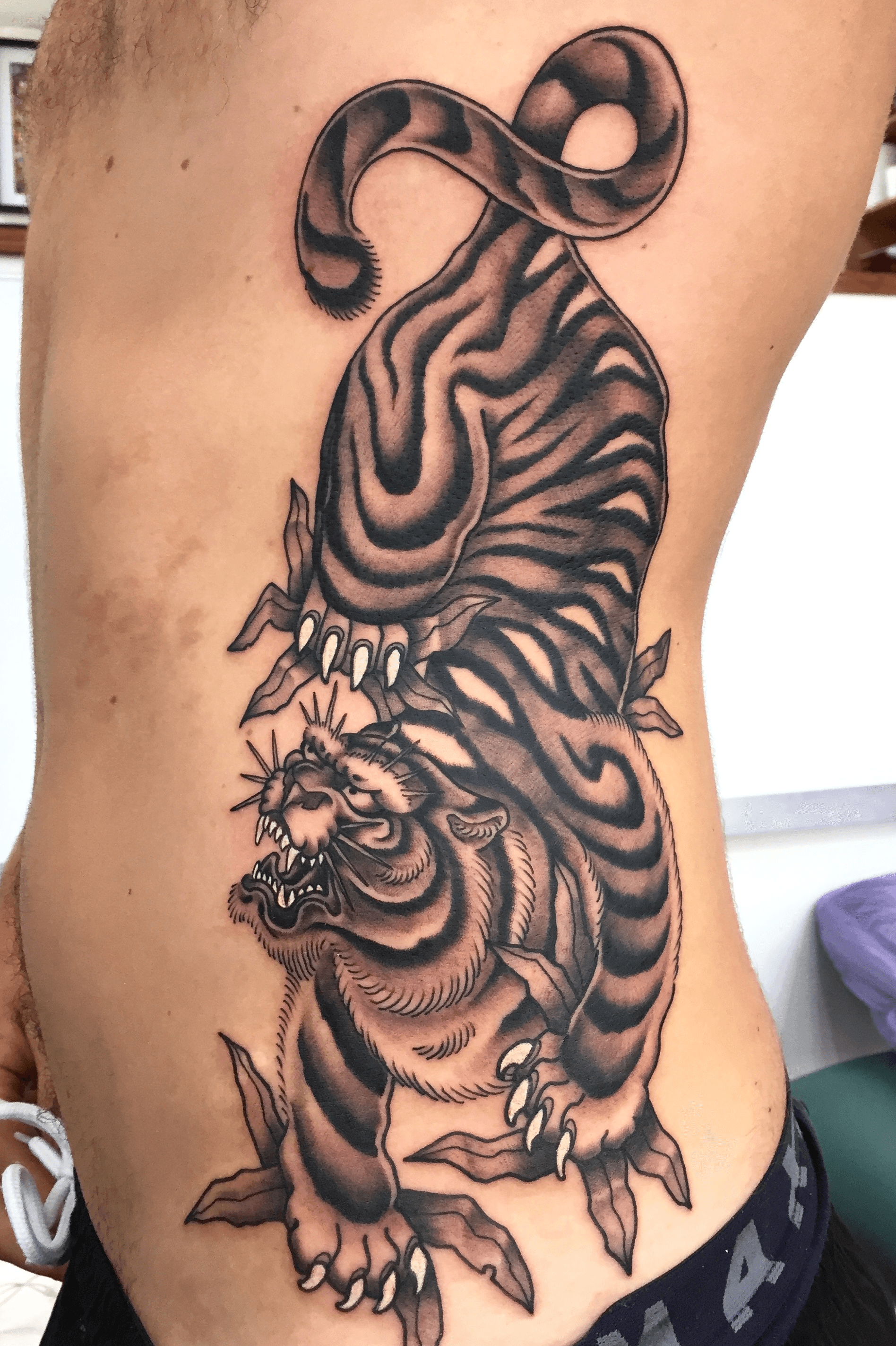 Tiger tattoo on the rib healed