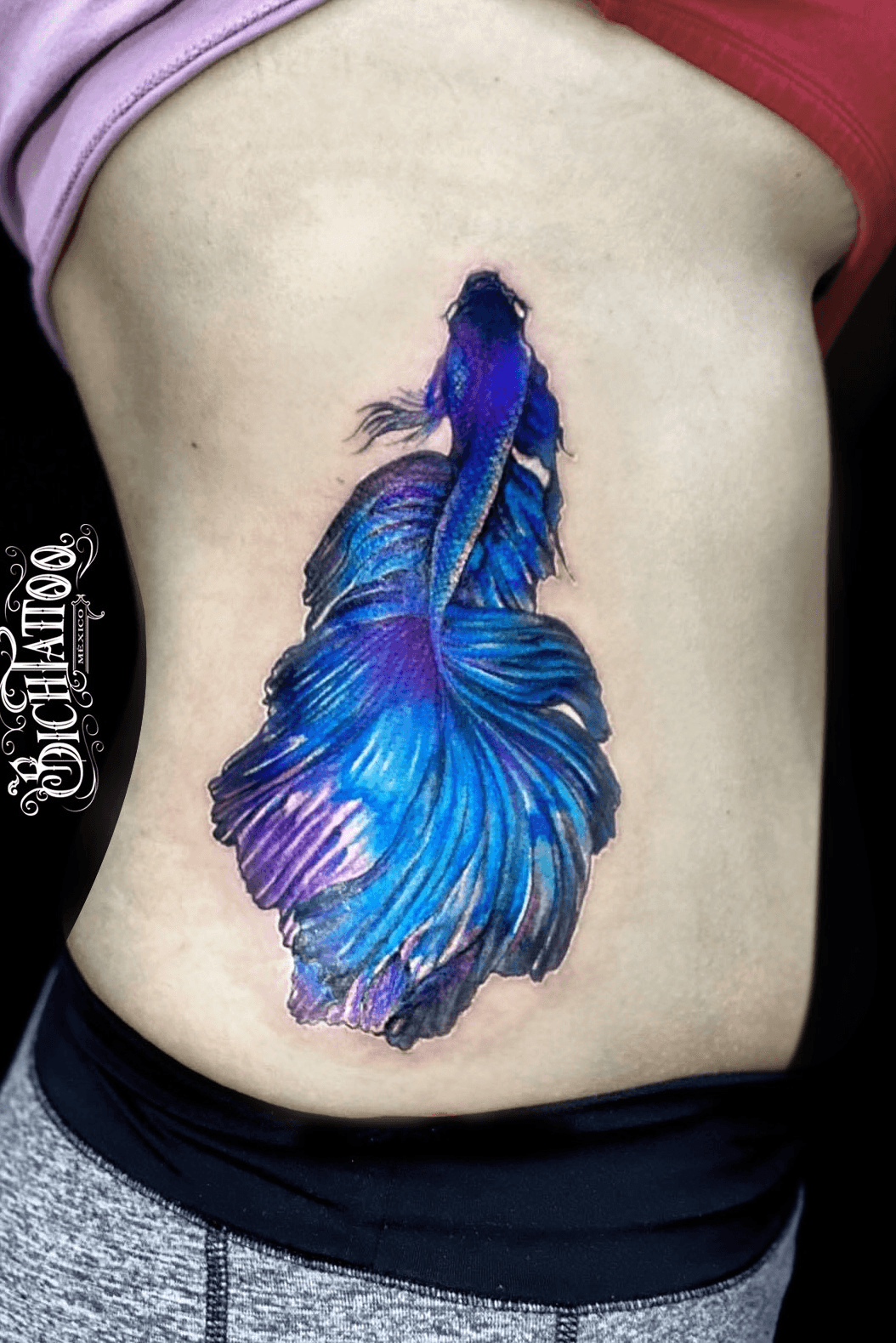 Betta Fish Tattoo Images Browse 1443 Stock Photos  Vectors Free Download  with Trial  Shutterstock