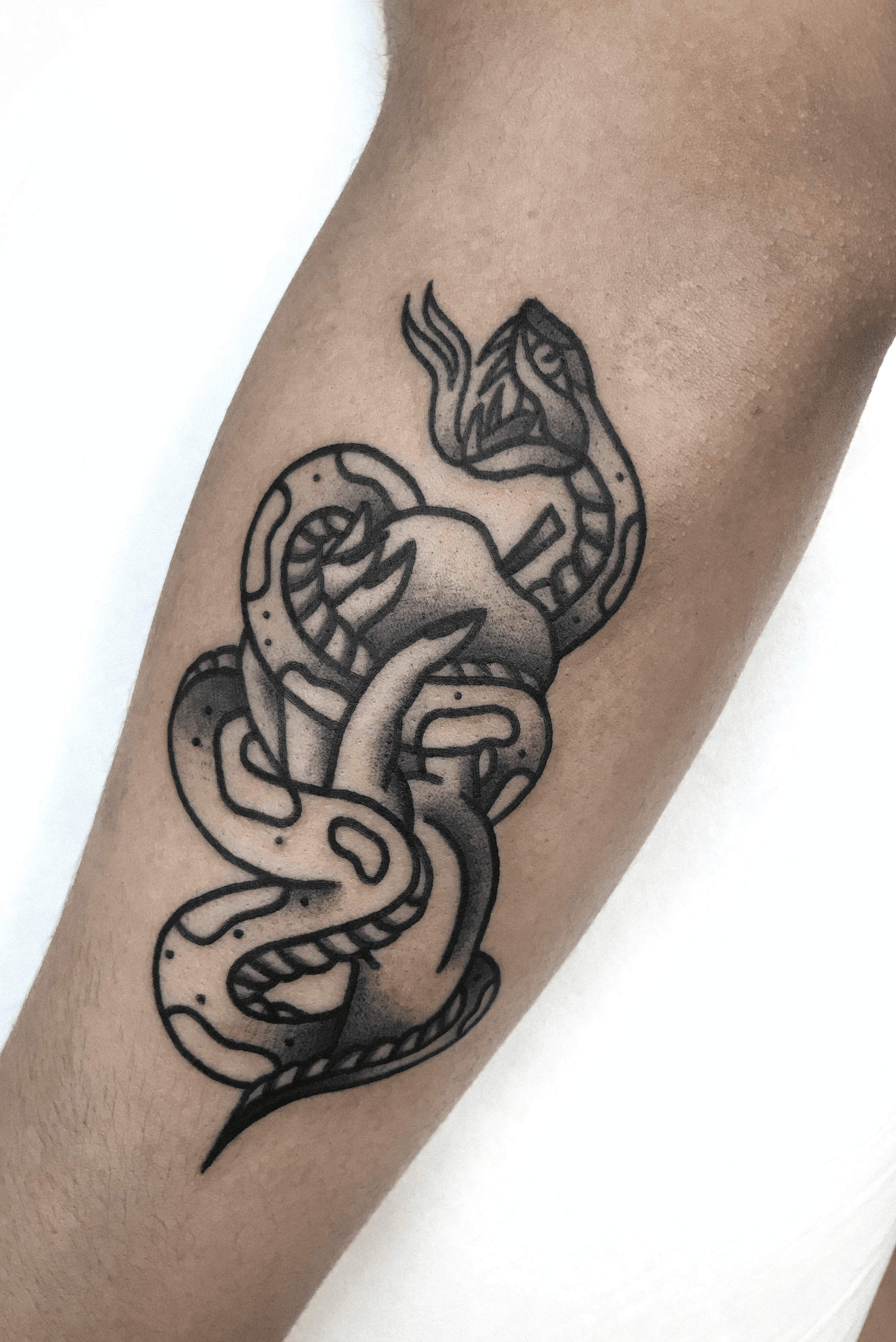 Celtic Snake Tattoos