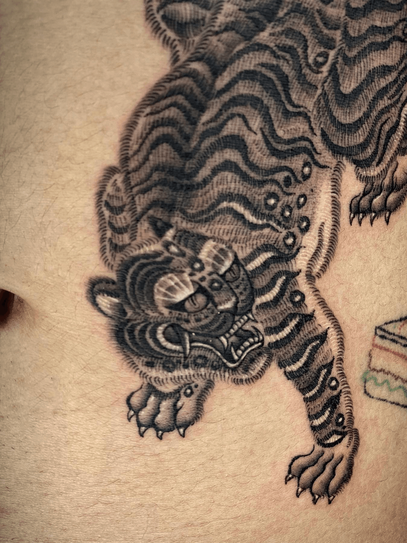 Traditional Korean tiger done beautifully by Liam at Bebop Ink in  Vancouver An extremely meaningful piece to represent my heritage  r tattoos
