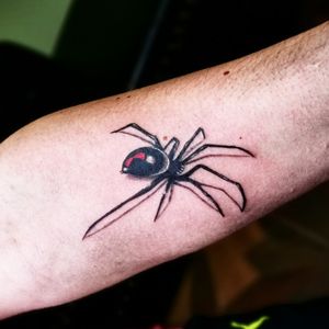 Spider tattoo on forearm done by Mateusz Pietrolaj