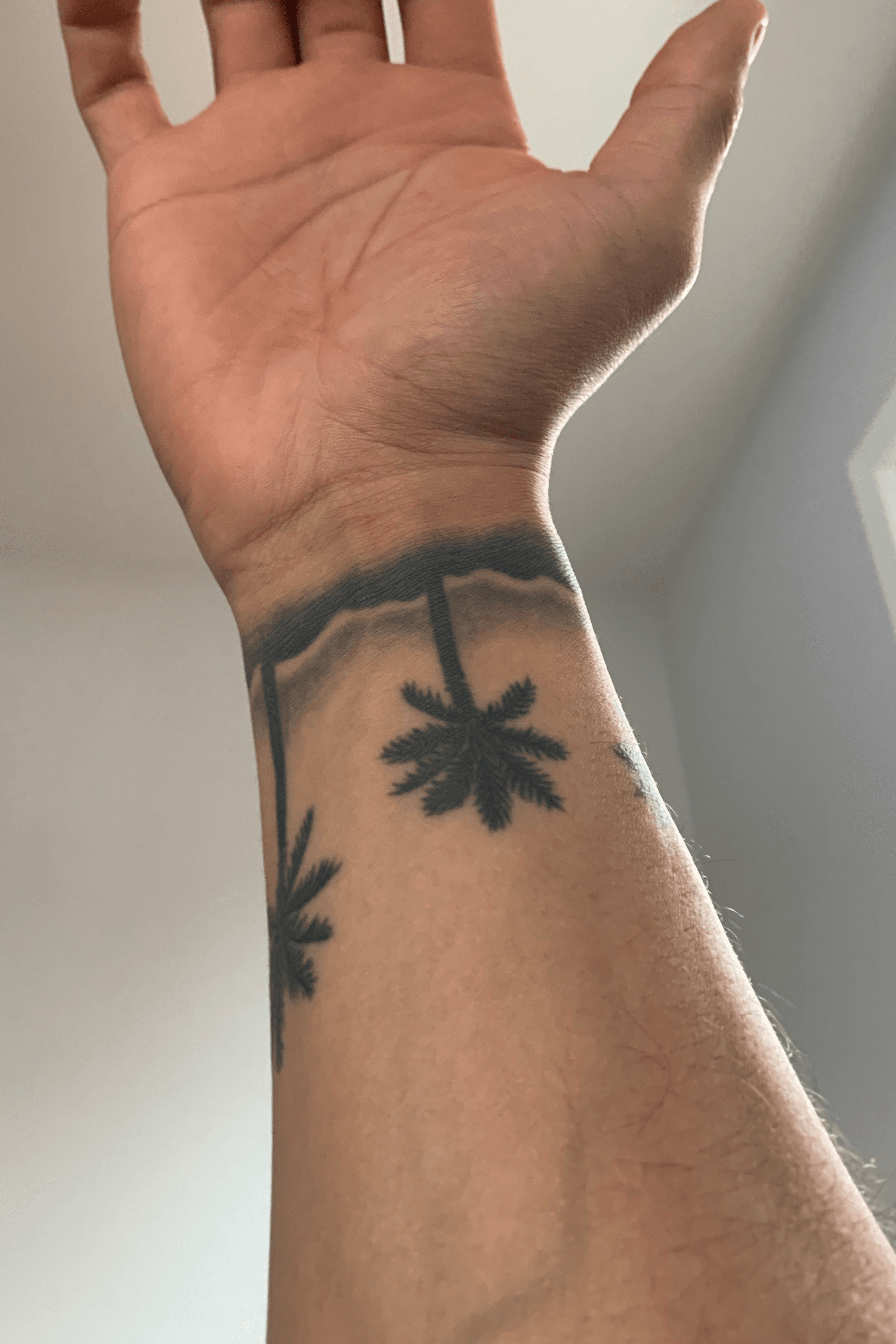 Twitter 上的Trending TattooColorful Palm Tree tattoo on Wrist palmtrees  tattoo tattooart httpstcoiJJwy5CWl3 httpstcoyeBljheFaf  Twitter