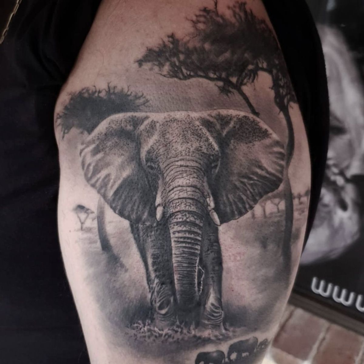 Tattoo uploaded by Mattink Tattoo • #elephanttattoo #ink #mattinktattoo ...