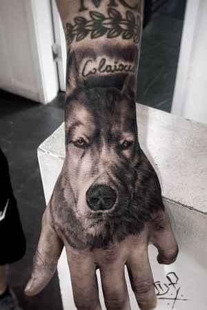 Get a stunning black and gray wolf tattoo on your hand by renowned artist Mauro Imperatori. Embrace the power and beauty of this majestic creature.