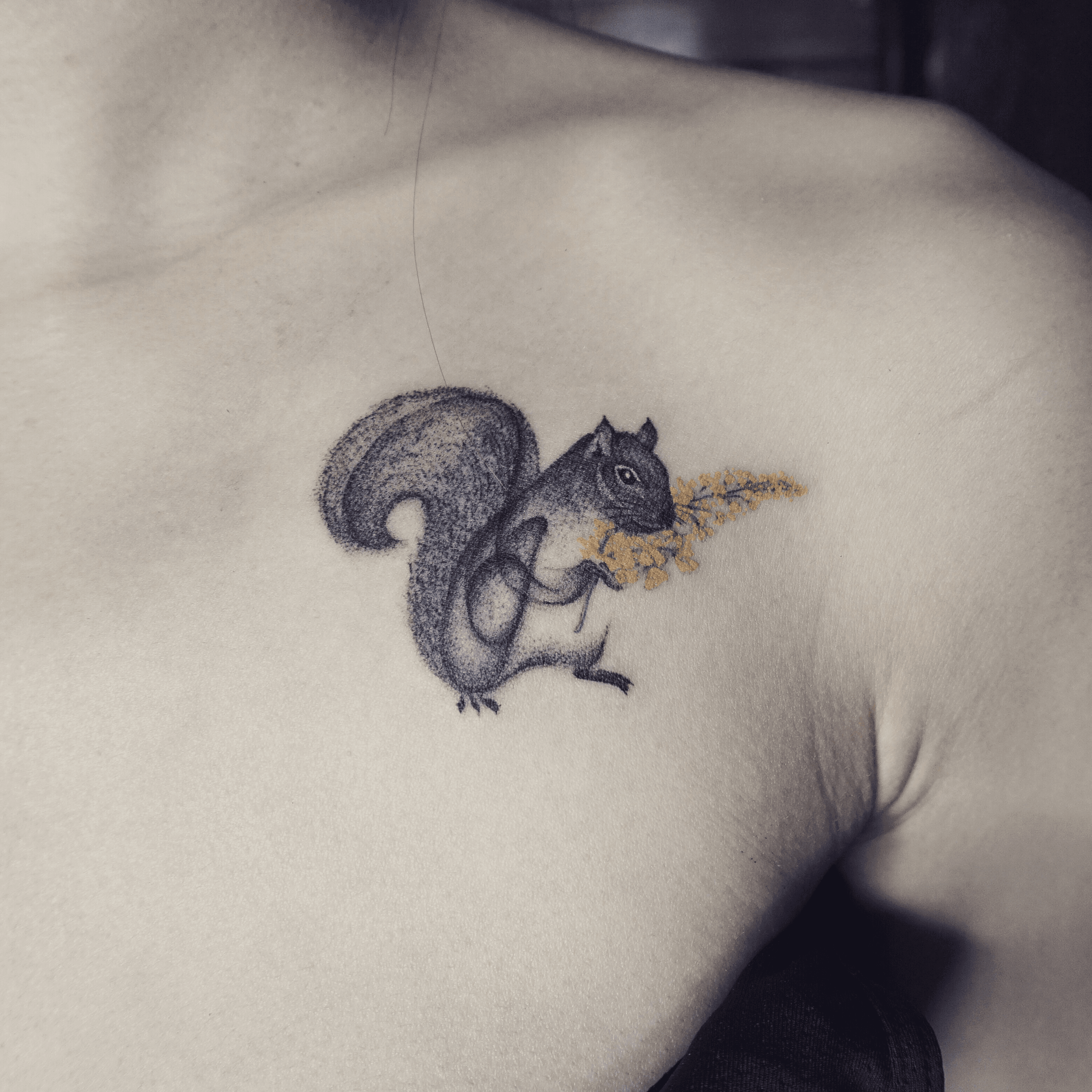 63 Squirrel Tattoo Designs That Are Simple  Cute  Tattoo Glee