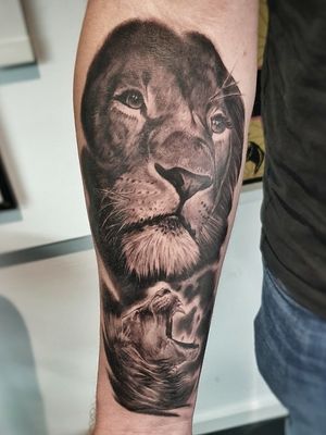 Experience the power and grace of the lion and lioness in stunning black and gray realism by Mauro Imperatori.