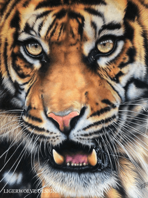 Recent tiger piece #art #tiger #artwork #fineart