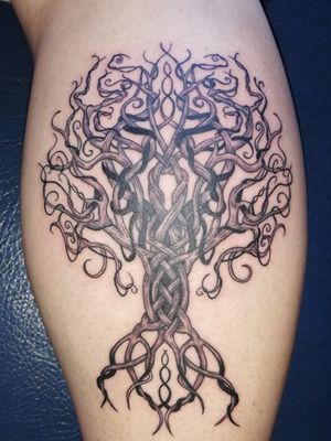 Cletic tree of life tattoo design #calftattoo #celtictreetattoo #mypassion #candyinktattoos