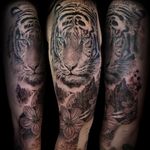 Siberian tiger with mountain landscape. Upper arm black and grey