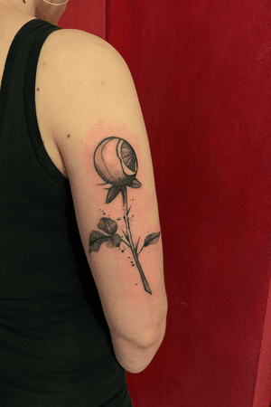 Tattoo by Taste Of Ink Tattoos