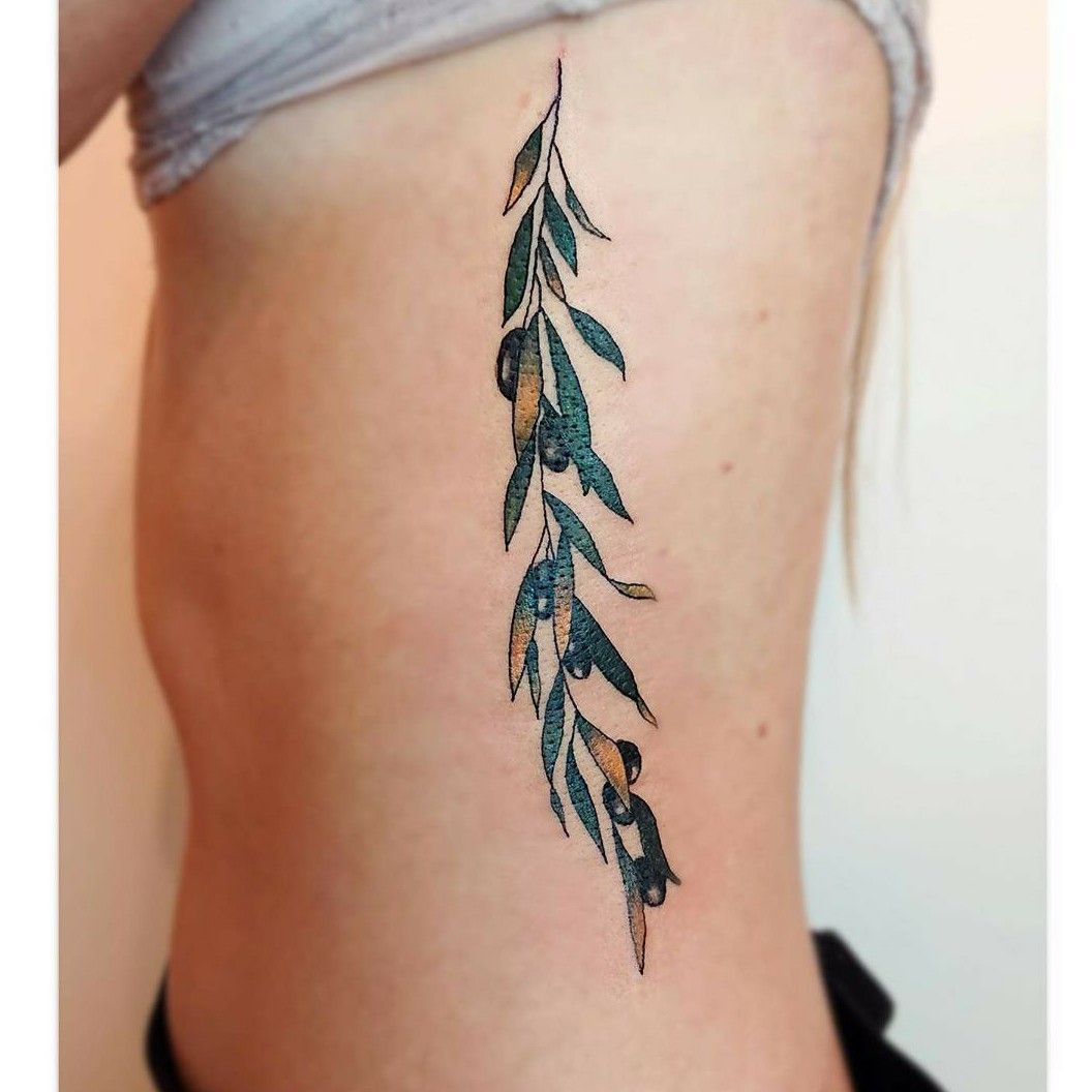 Willow tree branch by Meg Knobel at Outdoor Traditions Tattoo San Diego  CA  rtattoos