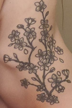 Cherry blossom branch unfinished. Needs color. 2½ hours. By Sam Phillips- owner & artist at American Tattoo in Vista, CA