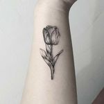 #tattoo #tattooidea #tattoodesign #tattooinspiration #tattoodo #tattooink #tattoolife #polishtattooartist #sanfranciscotattoo #berkeleytattoo #bayareatattoo #oaklandtattoo #jessejamestattoo #femaletattooartist #minimalistic #naturetattoo #tulip #wrist