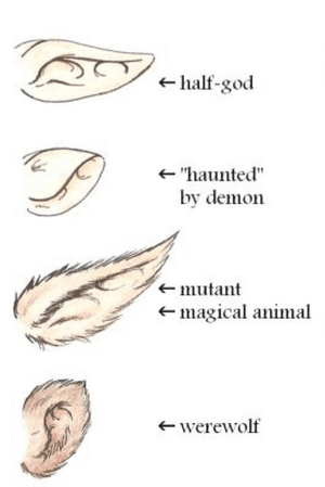 Mutant magical animal ears