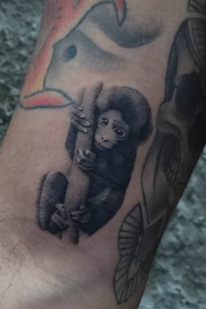 Mini monkey