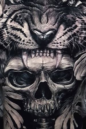 Tiger skull