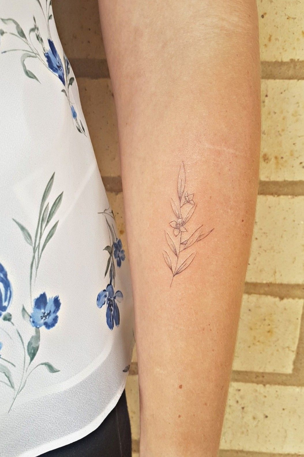 Tattoo uploaded by Nikita Jade Morgan  dotwork olivebranch on the  forearm dotworktattoo  Tattoodo