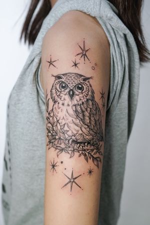✧ Owl 🦉✧