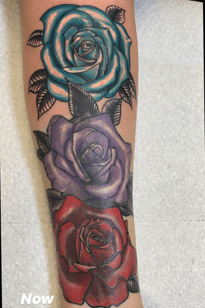 Cover up roses 