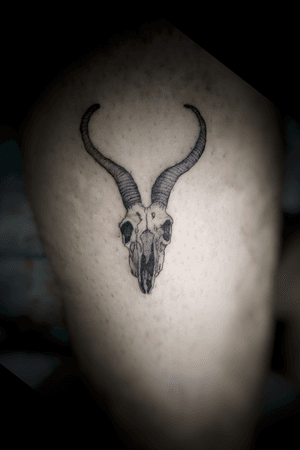 Single needle #craneo #tattooartist #quito #blackngreytattoo 