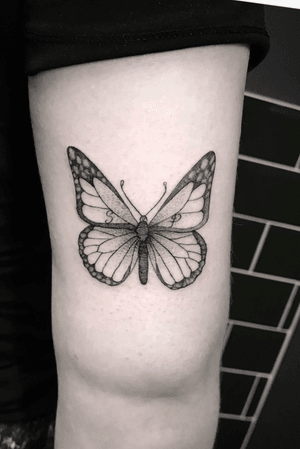 Fineline butterfly
