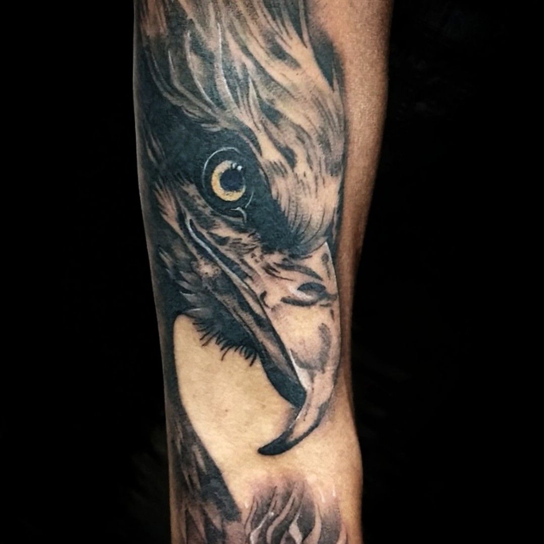 ifa2 tattoo studio Twitter पर Done by jayinkfiend eagletattoo eagle  tattoo inkfiend ifa2  See more at httptcoMf6XiAxUVp  httptco6HGjLefA5h  Twitter