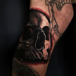 Skull first session 