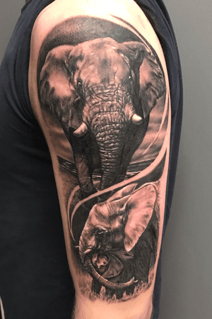 Elephant family done just before self isolation 