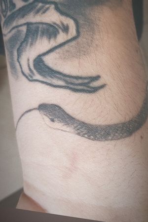 Ouroboros snake#eatsowntail #inkedup #ink #oldschool #blackandgreytattoo #addicted #love #more #snaketattoo #lifestyle #lifeisagame #tattooaprentice 