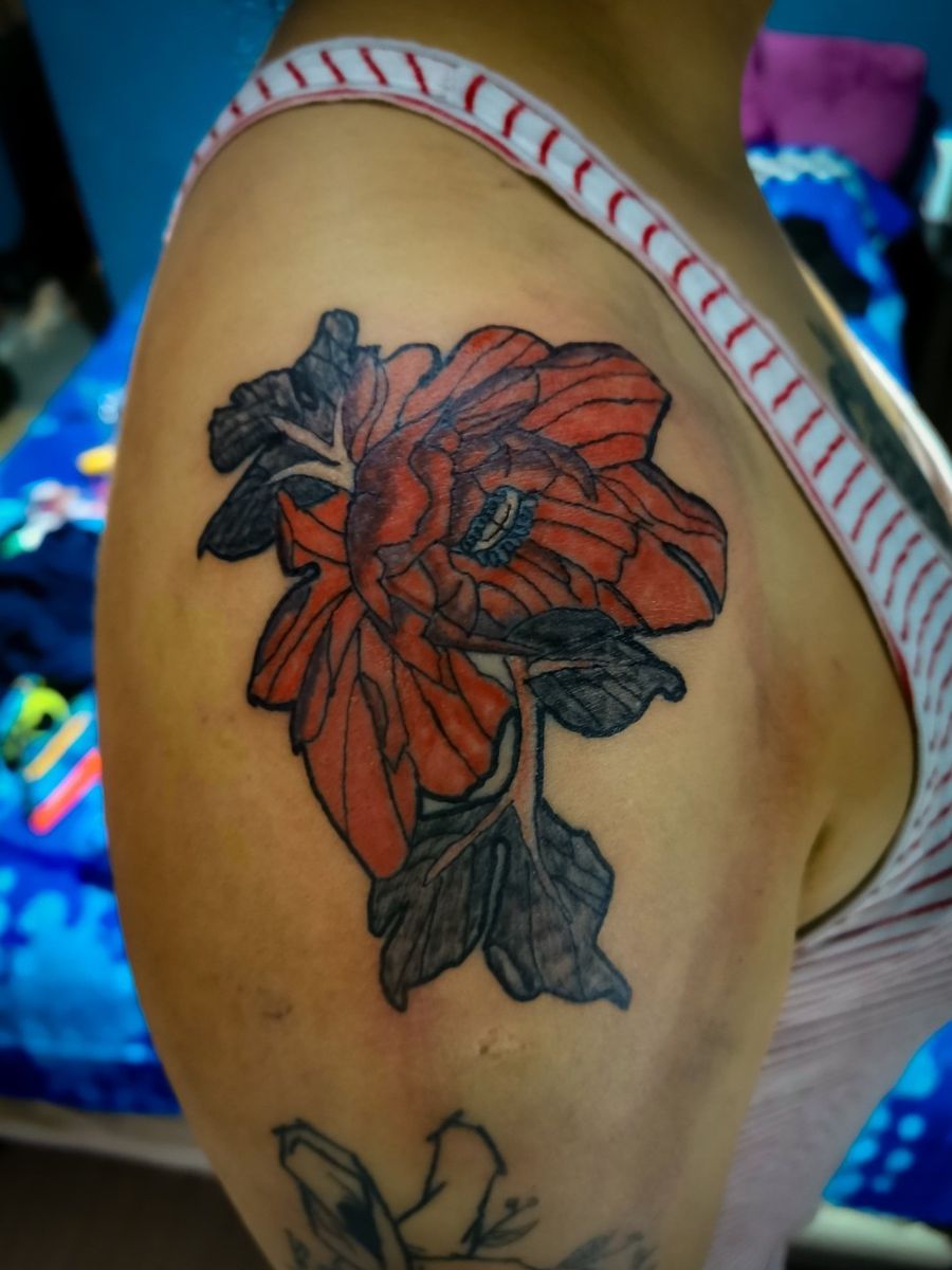 Tattoo uploaded by Víctor Axel • Flor neotradicional Peonía japonesa  #flower #tattooart #tattooapprentice #neotraditionaltattoos #peonytattoo  #colortattoo • Tattoodo