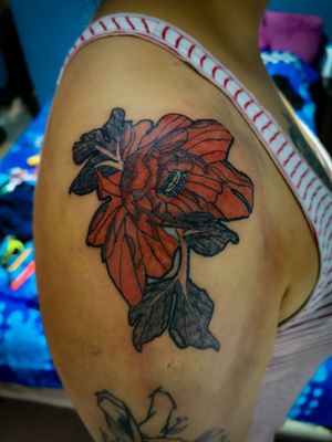 Flor neotradicionalPeonía japonesa #flower #tattooart #tattooapprentice #neotraditionaltattoos #peonytattoo #colortattoo 