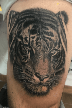 Tiger #realistic #tigertattoo #blackandgrey #realism #animal