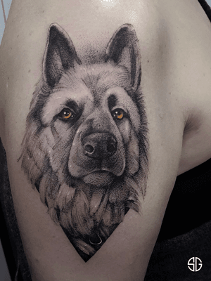 • German Shepherd • portrait of the best friend from a photo by our resident @oscar.ls.tattooist for lovely Cassandra 🐶 done three weeks ago. For similar portraits after lockdown:•📧 info@southgatetattoo.co.uk •📱07456415895‬(WhatsApp only) ⚡️⚡️⚡️#dogportrait #dog #friend #portraittattoo #germanshepherd #bestfriend #london #northlondontattoo #southgate #northlondon #SGTattoo #southgatetattoo #southgatesgtattoo #londontattoo