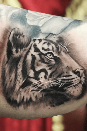 Erkan Nehir Miami FL  #tattooartist #tattoo #tattoos #tiger #cat #cats #realism #animal #tigers #wild #wildlife #art #artist #erkan #nehir