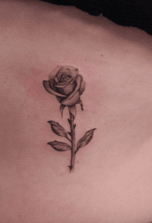 Small realistic rose on the ribs.