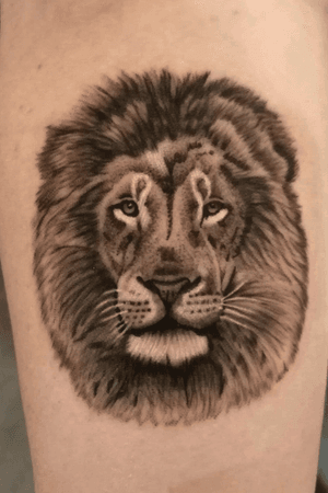 Small lion tattoo 8cm