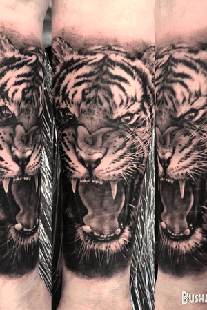 Black and grey tiger on arm