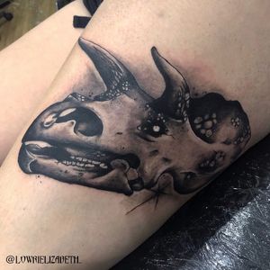 Big #Triceratops thigh piece 💗 #dinosaurtattoo #jurassicpark #spooky #portrait #animalportrait #triceratops #goth #darktrash #realism #darkrealism #cardiff #wales #uktta 