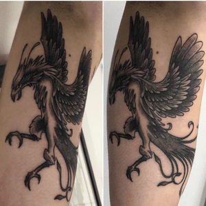 Phoenix Tattoo. #phoenix