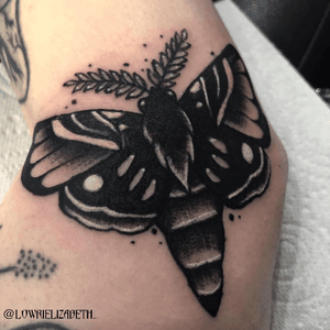 Not my usual style but a customer requested & it was a fun Change 👌🏻 #traditional #black #blackwork #moth #bugs #neotrad #cardiff #wales 